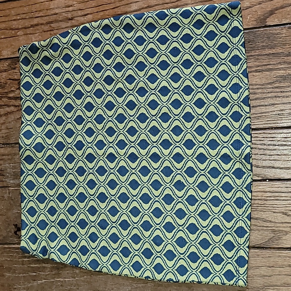 Francesca's skirt